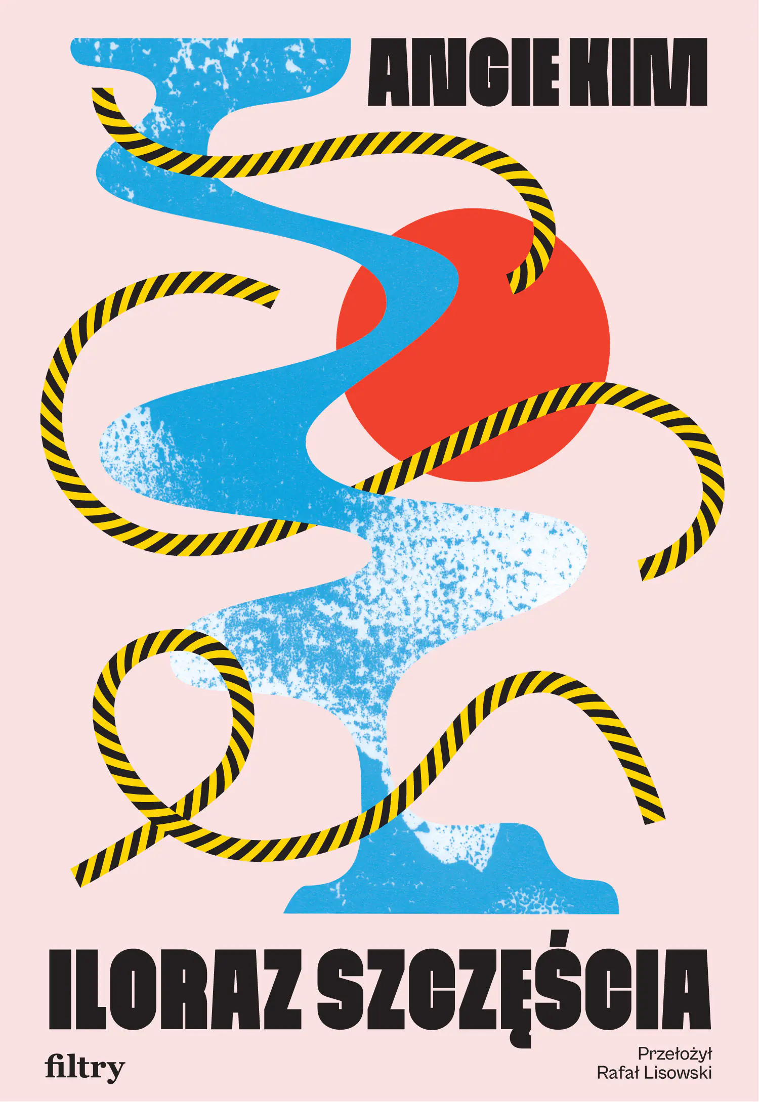 Książka - Iloraz szczęścia