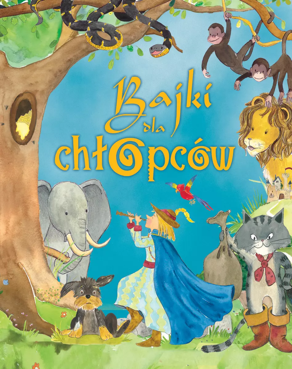 Książka - Bajki dla chłopców