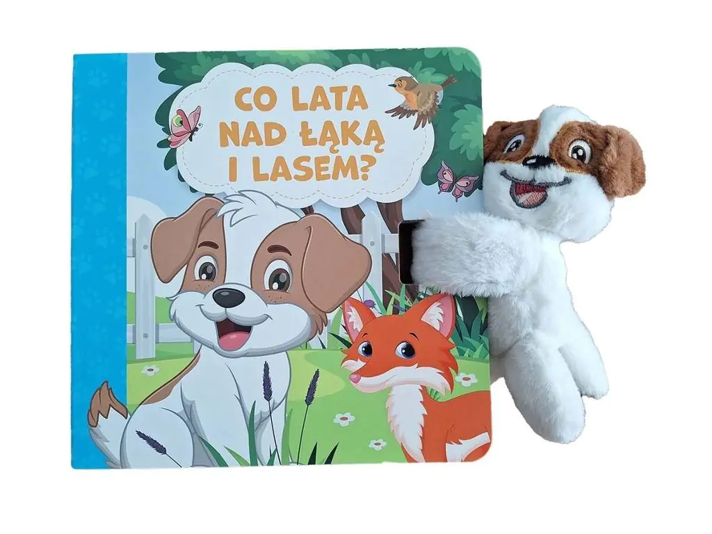 Książka - Co lata nad łąką i lasem?