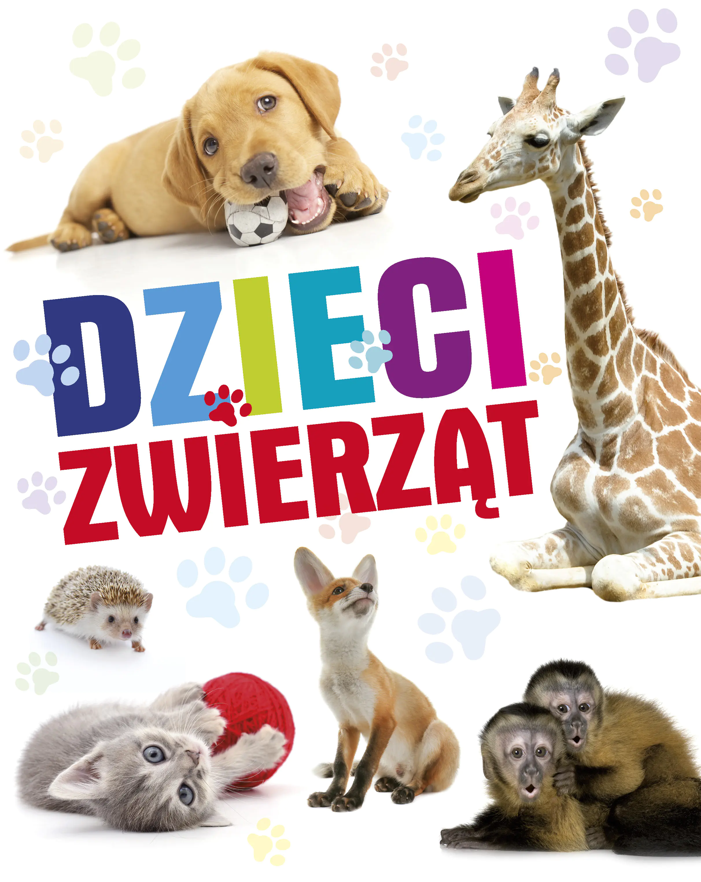 Książka - Dzieci zwierząt. Wydawnie 2024