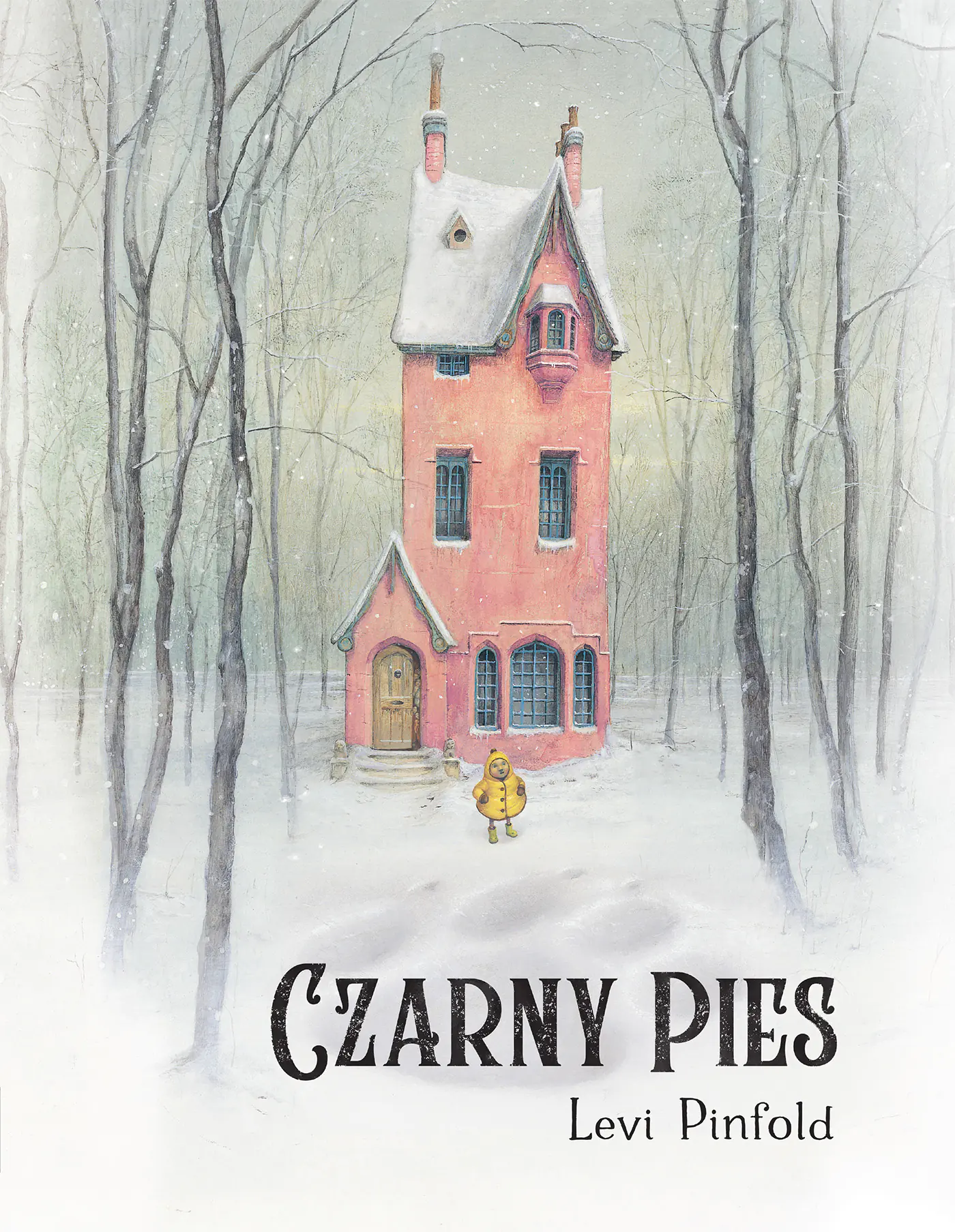 Książka - Czarny pies