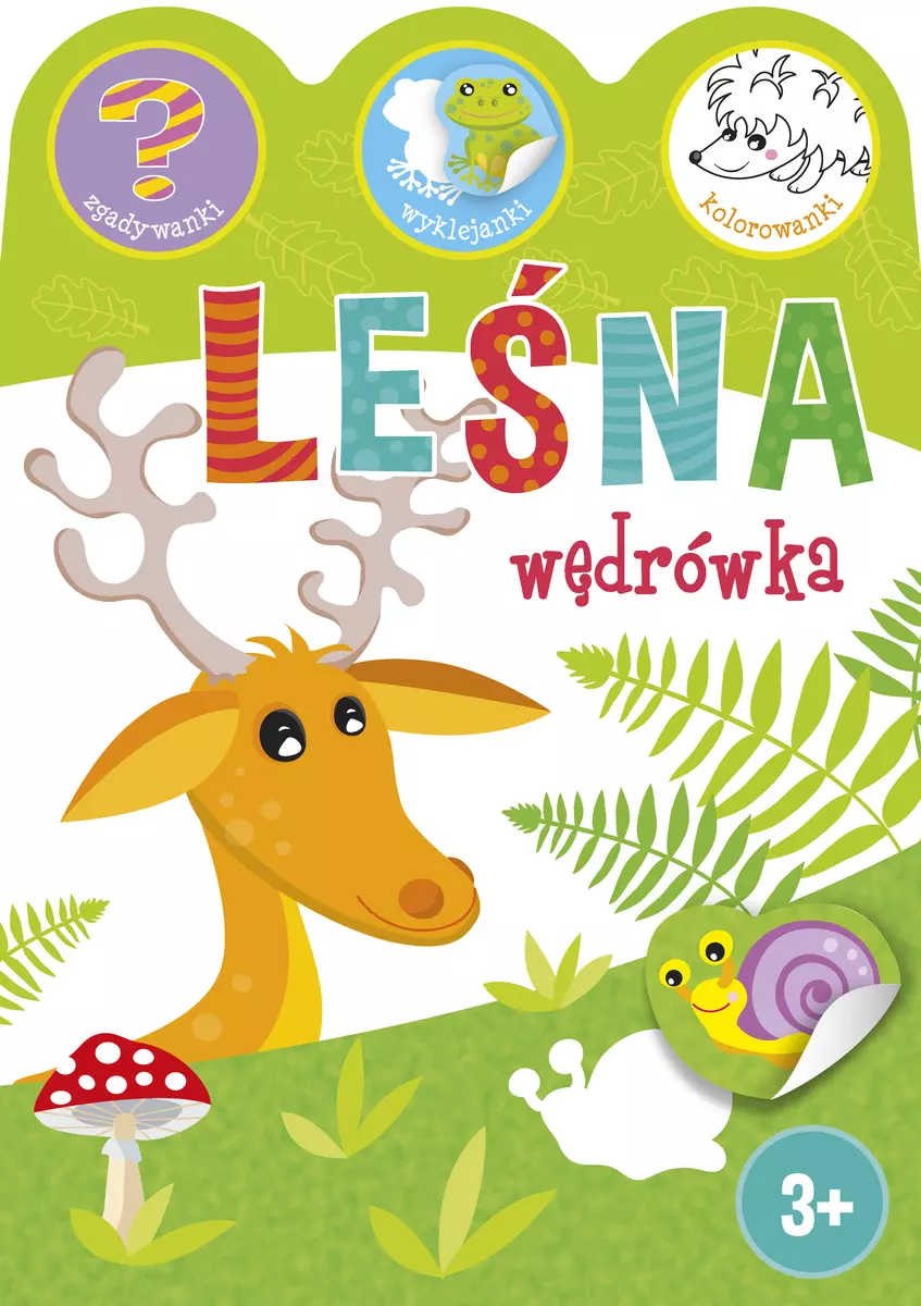 Książka - Leśna wędrówka
