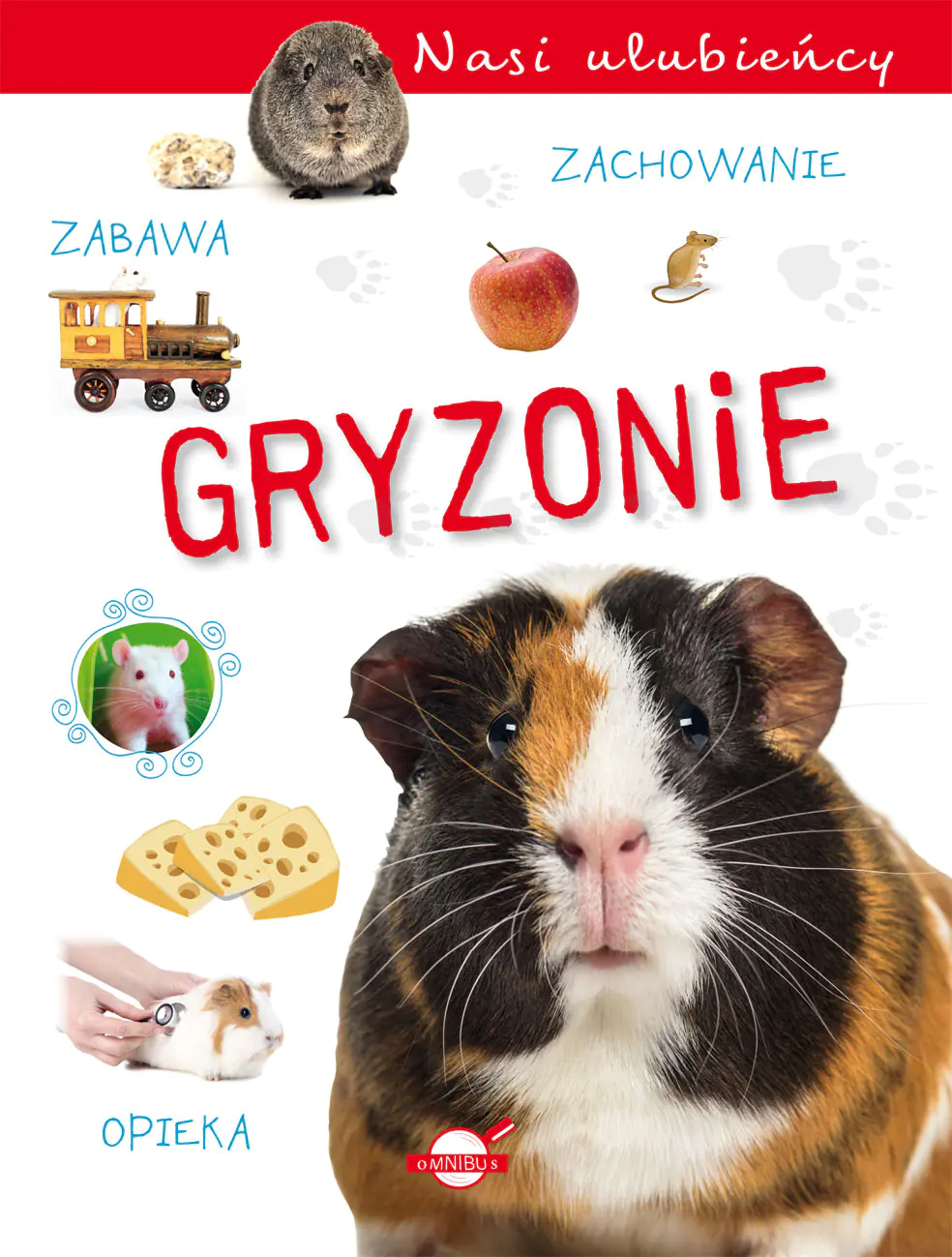 Książka - Gryzonie. Nasi ulubieńcy