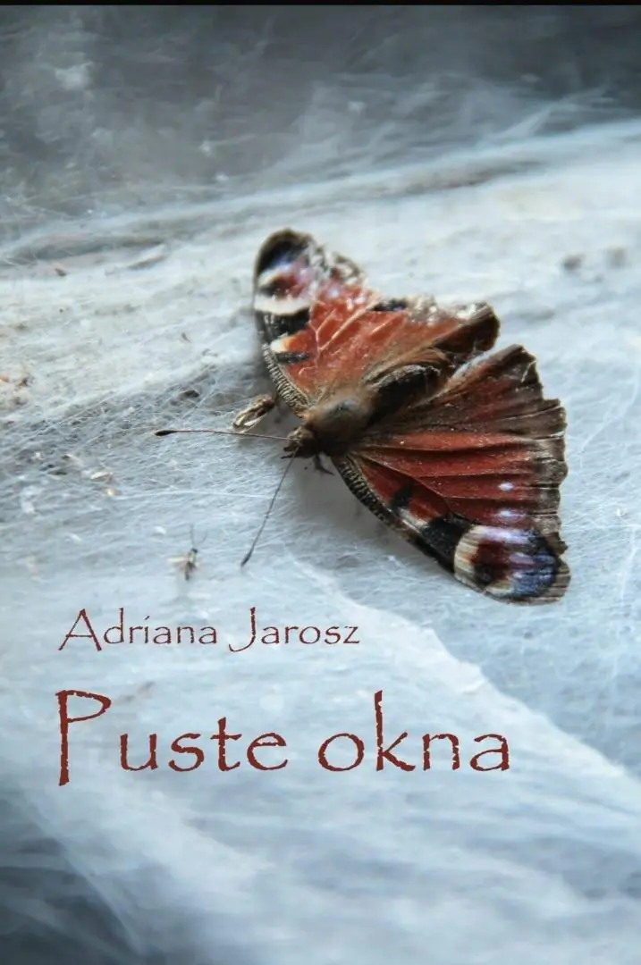 Książka - Puste okna