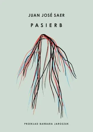 Książka - Pasierb