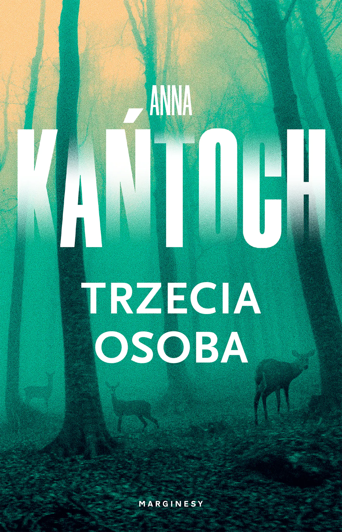 Książka - Trzecia osoba