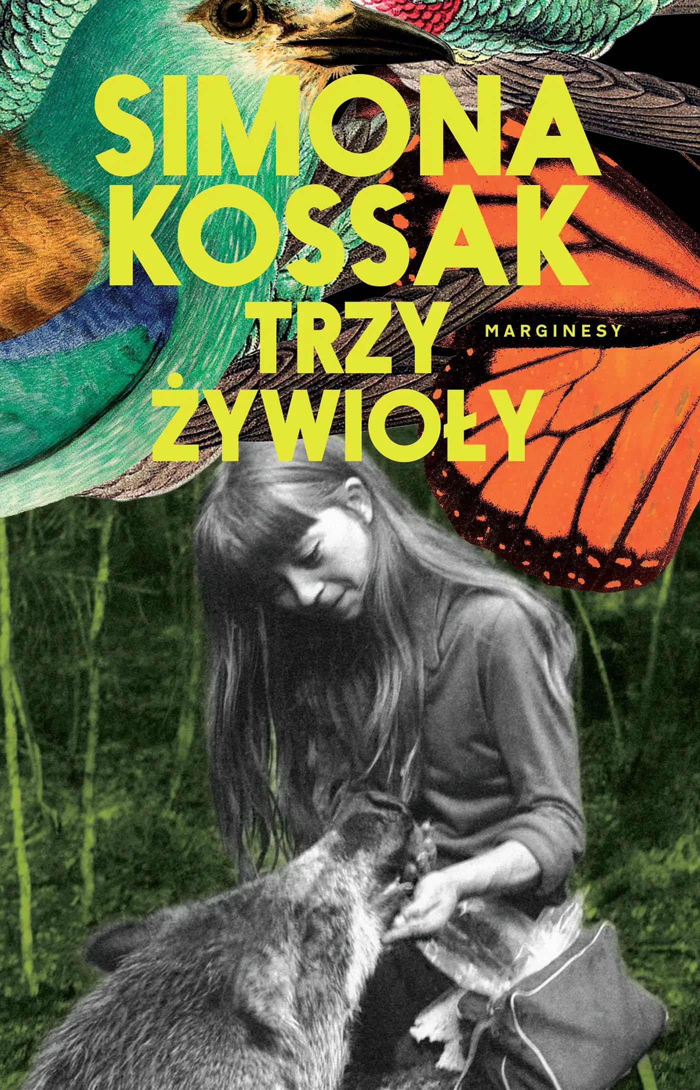 Książka - Trzy żywioły