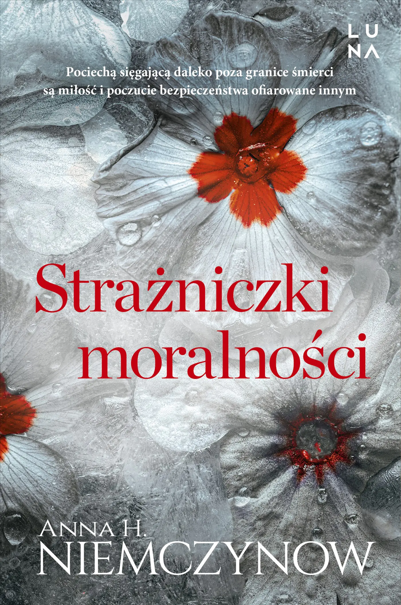 Książka - Strażniczki moralności