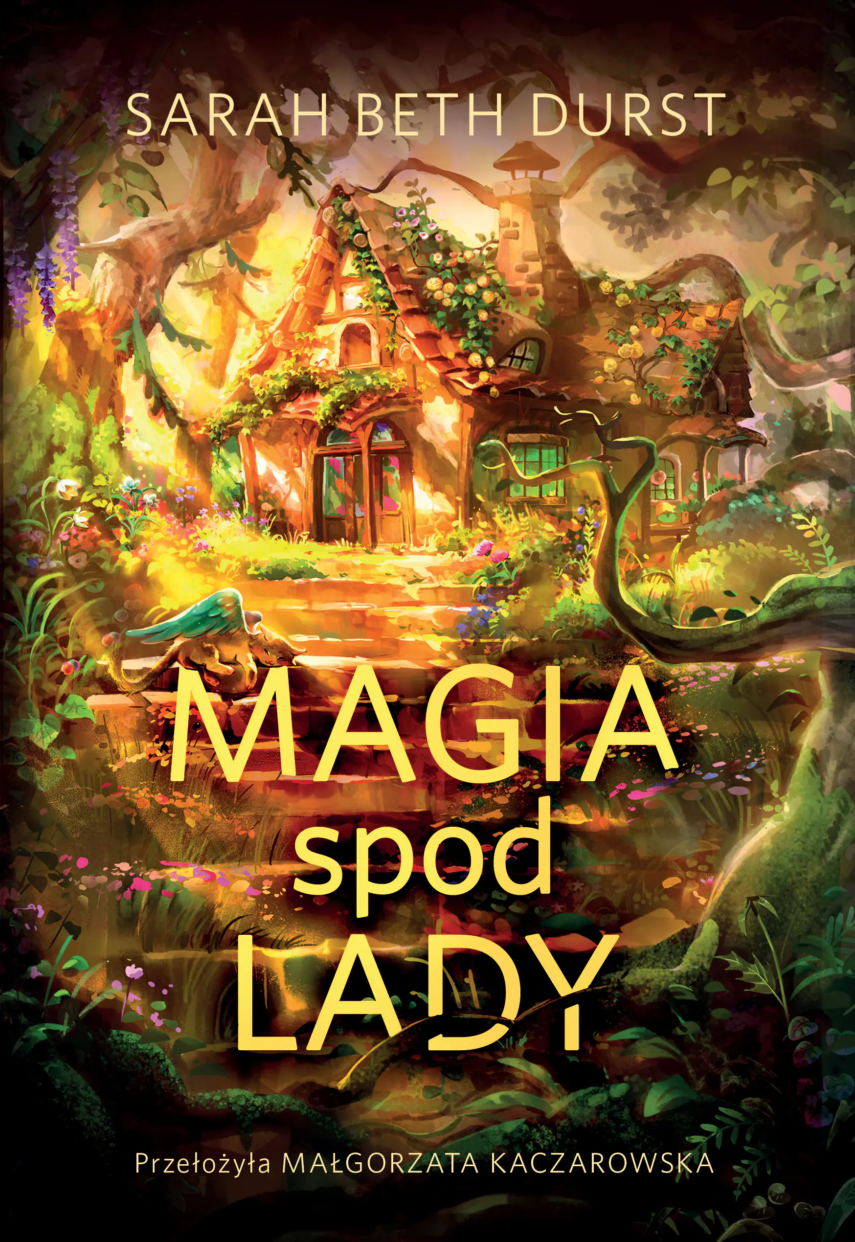 Książka - Magia spod lady