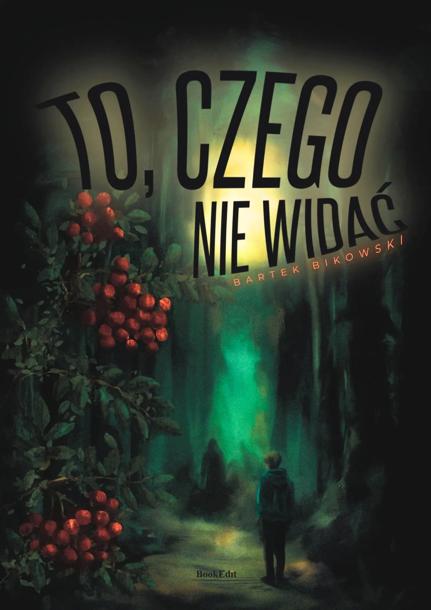 Książka - To, czego nie widać