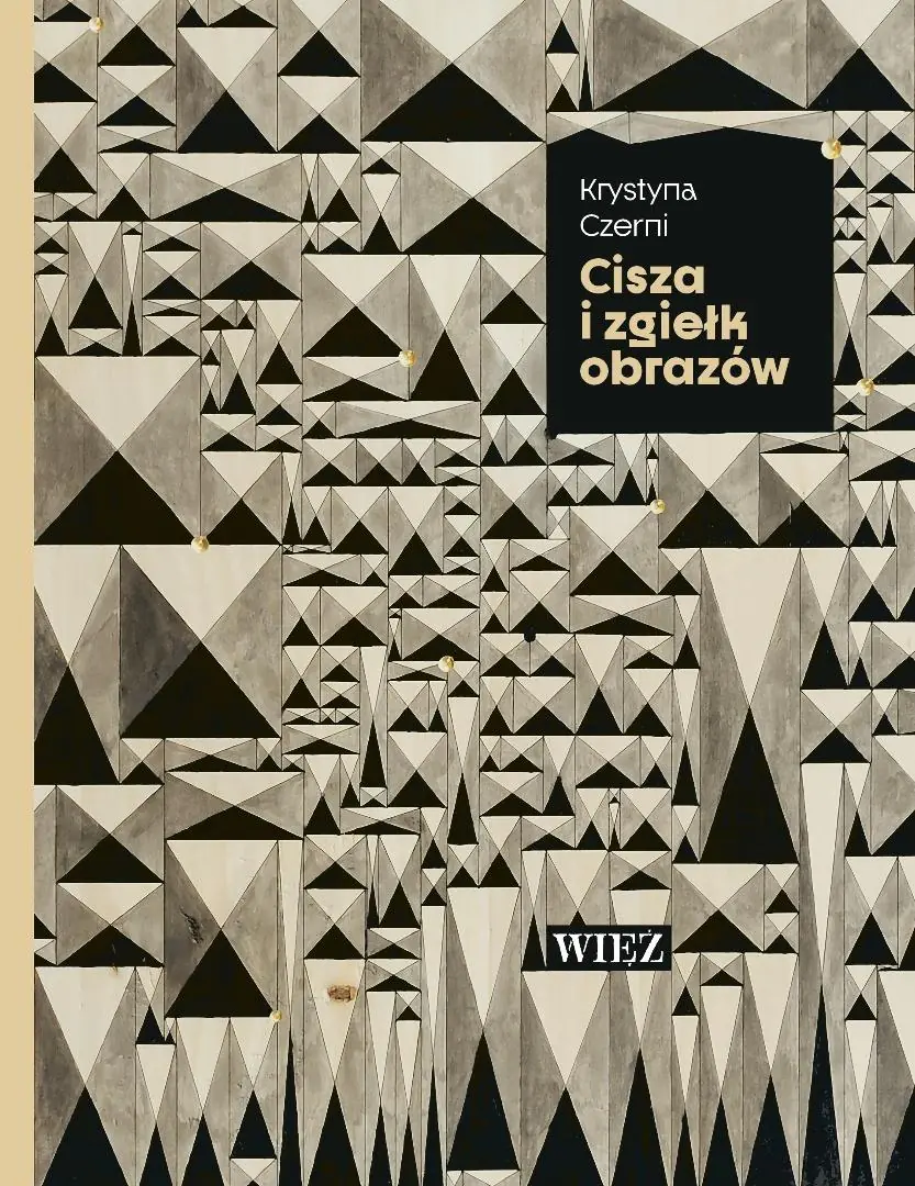 Książka - Cisza i zgiełk obrazów