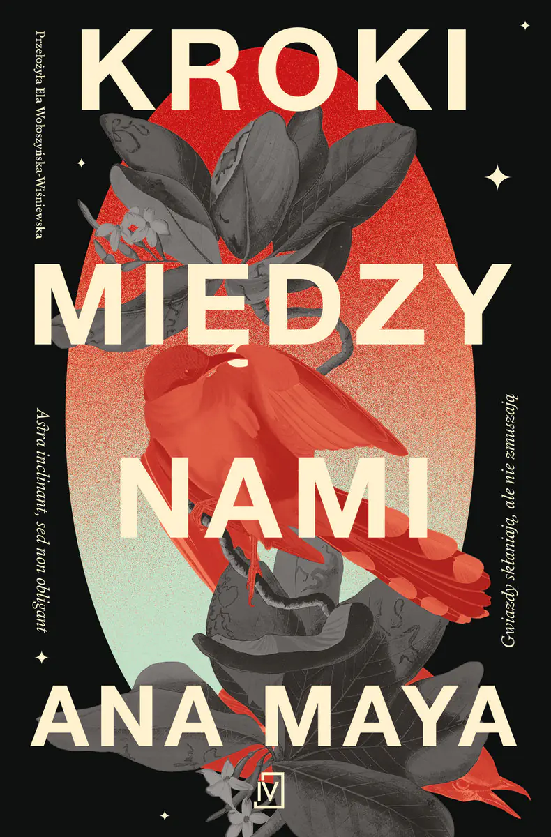 Książka - Kroki między nami