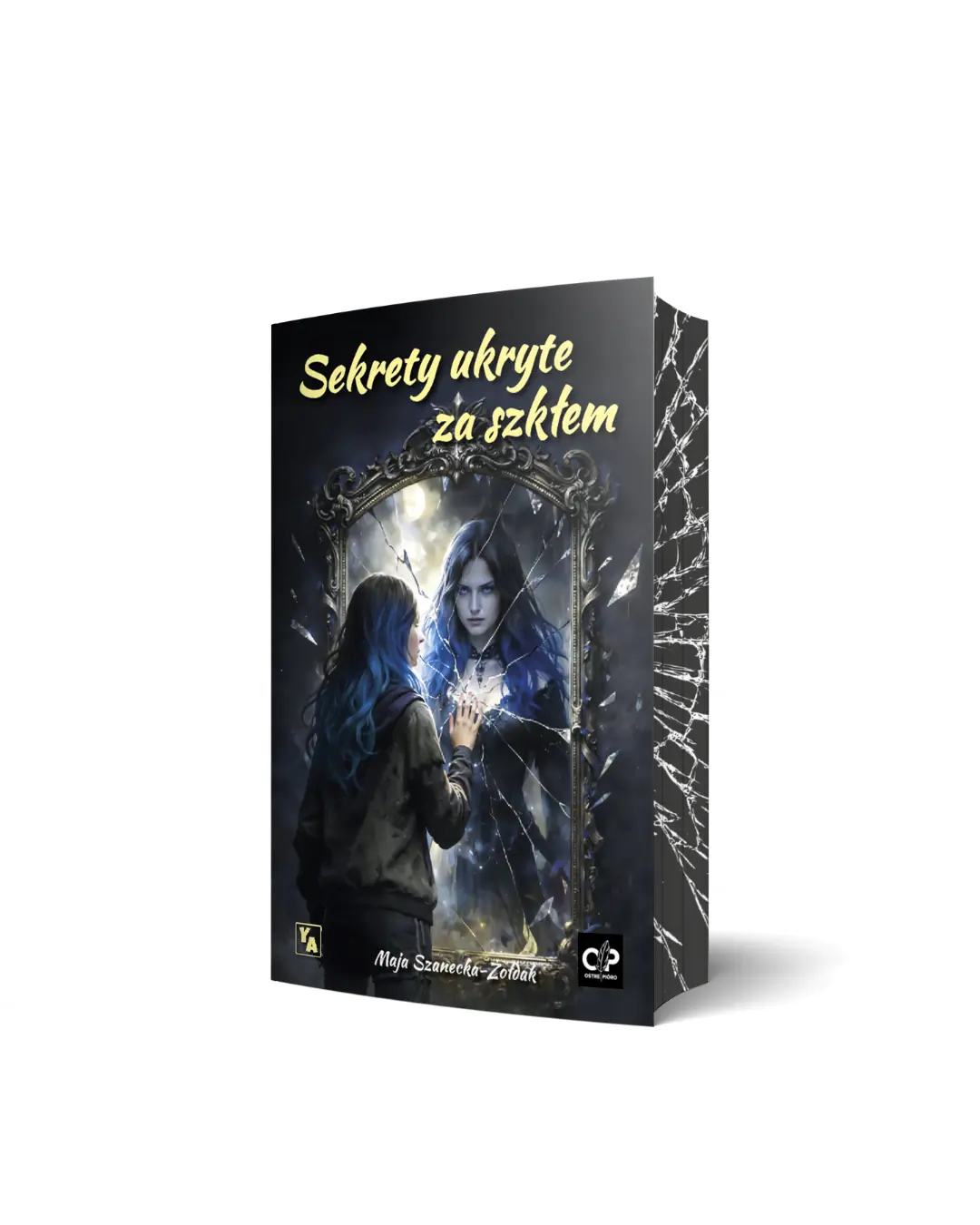 Książka - Sekrety ukryte za szkłem