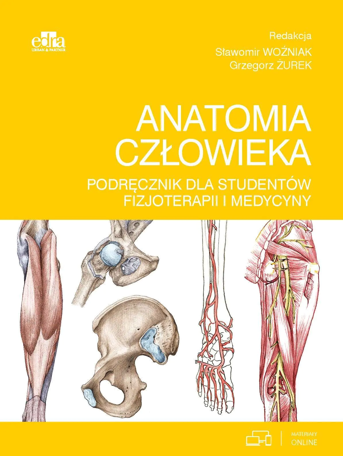 Książka - Anatomia człowieka. Podręcznik dla studentów fizjoterapii i medycyny