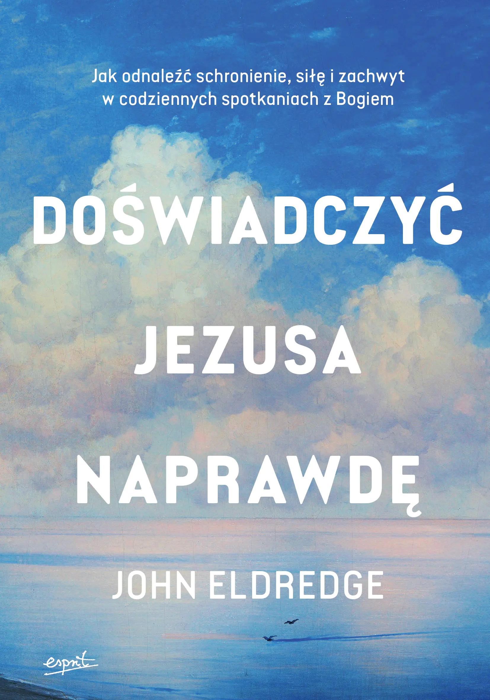 Książka - Doświadczyć Jezusa naprawdę. Jak odnaleźć schronienie, siłę i zachwyt w codziennych spotkaniach z Bogiem