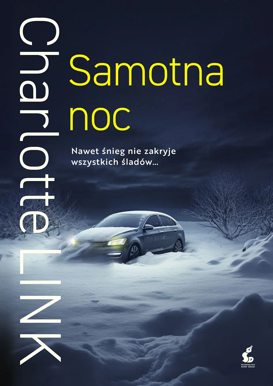 Książka - Samotna noc