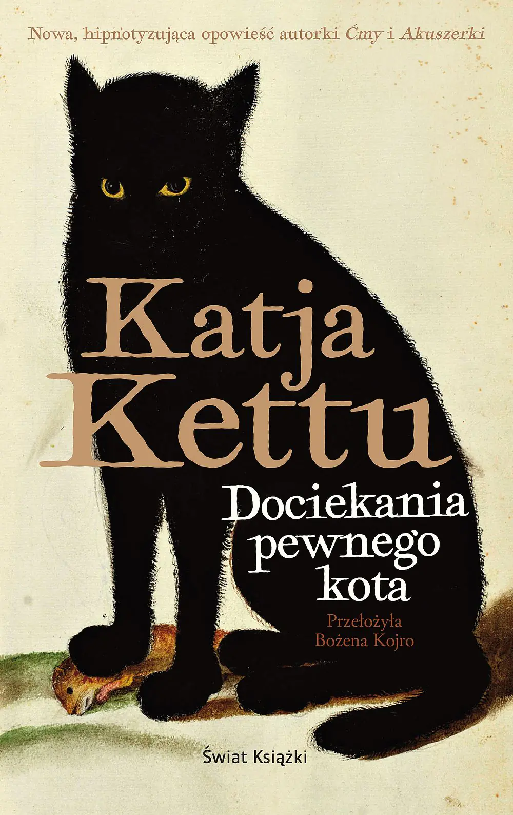 Książka - Dociekania pewnego kota