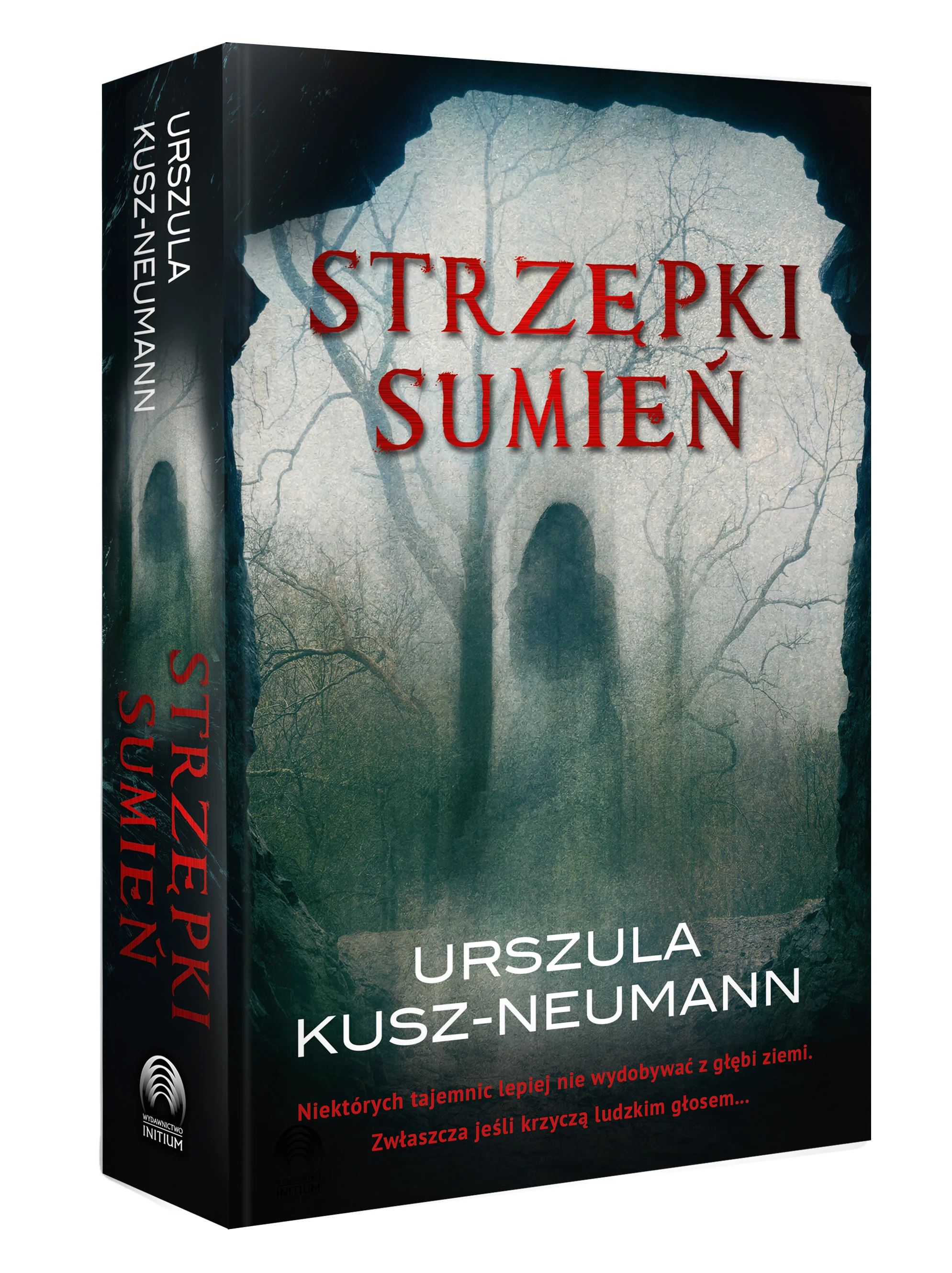 Książka - Strzępki sumień