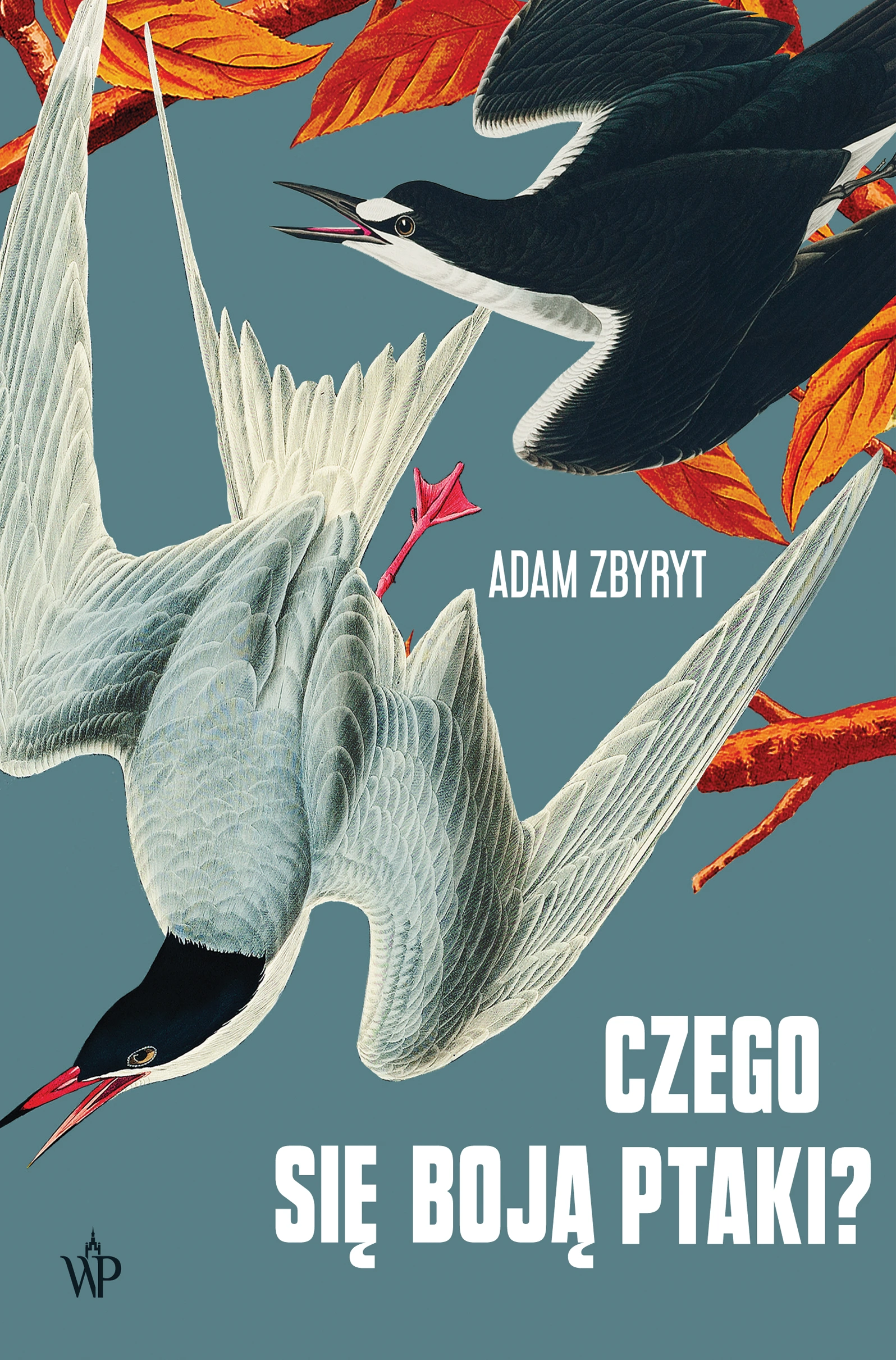 Książka - Czego się boją ptaki?