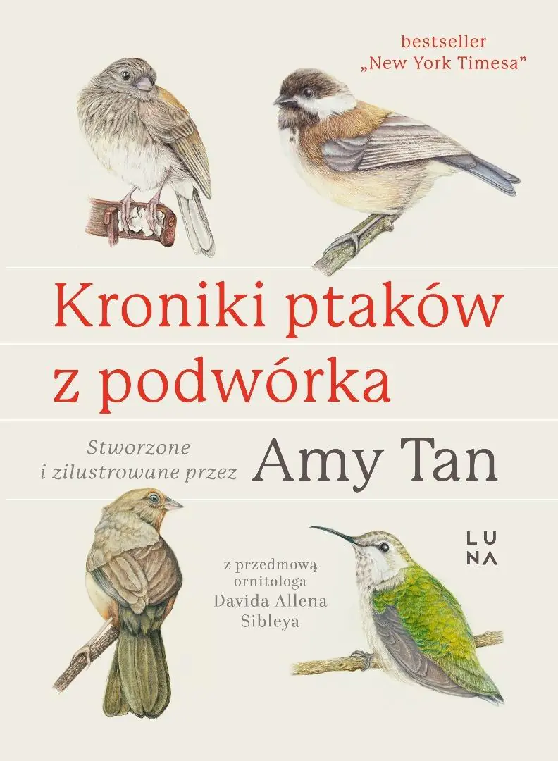 Książka - Kroniki ptaków z podwórka