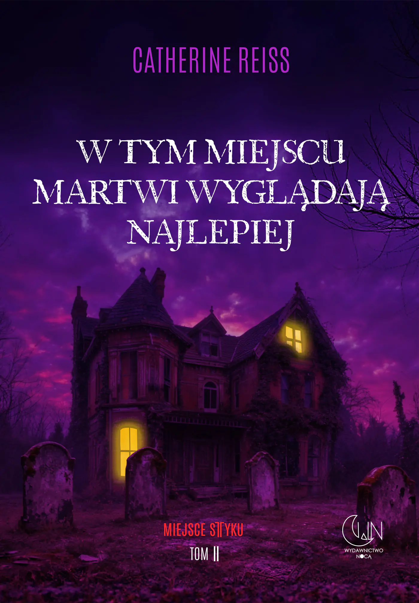 Książka - W tym miejscu martwi wyglądają najlepiej. Miejsce styku. Tom 2