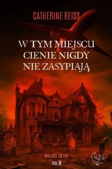 Książka - W tym miejscu cienie nigdy nie zasypiają. Seria Miejsce styku. Tom 3