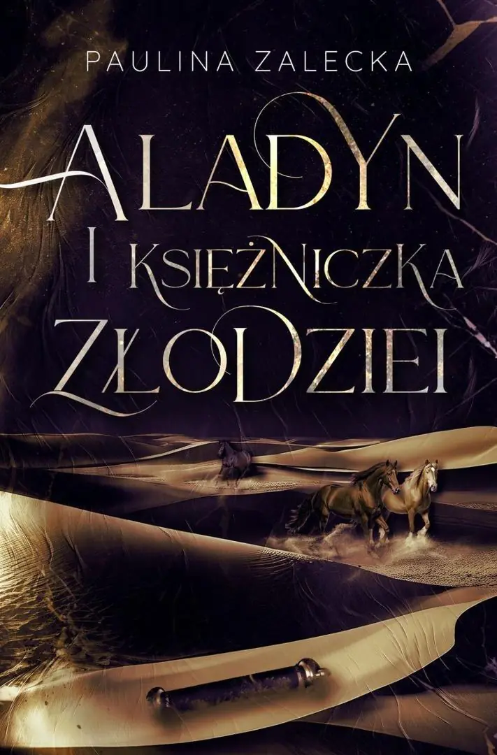 Książka - Aladyn i Księżniczka Złodziei