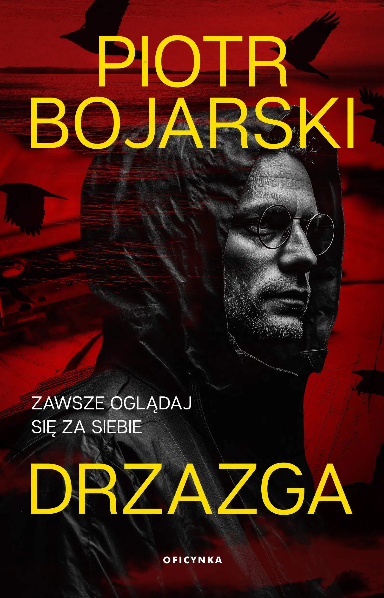 Książka - Drzazga
