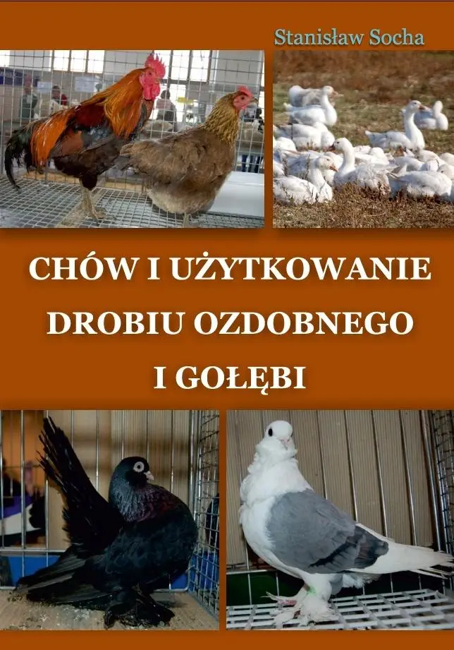 Książka - Chów i użytkowanie drobiu ozdobnego i gołębi
