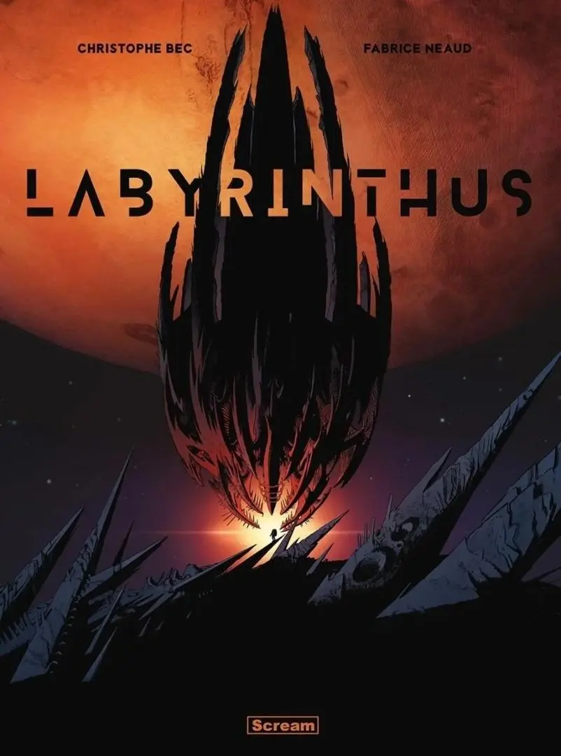 Książka - Labyrinthus