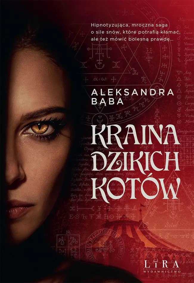 Książka - Kraina dzikich kotów