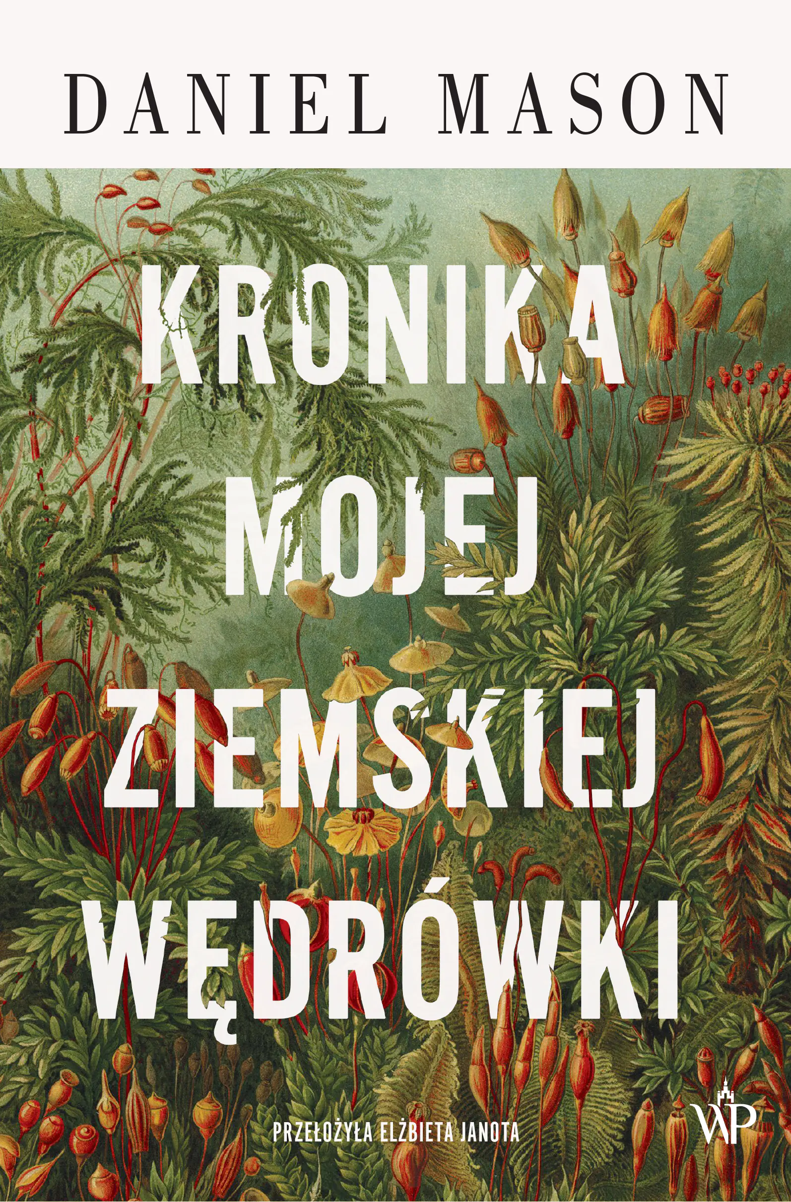Książka - Kronika mojej ziemskiej wędrówki