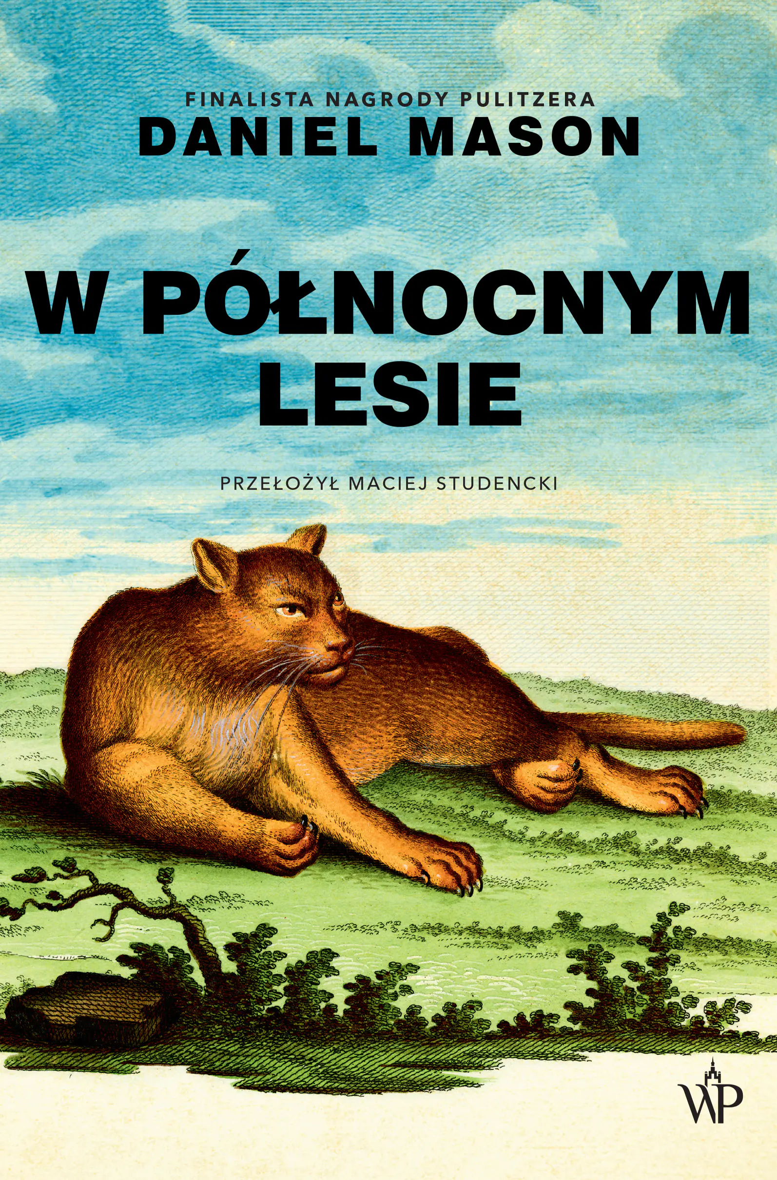 Książka - W północnym lesie w.2