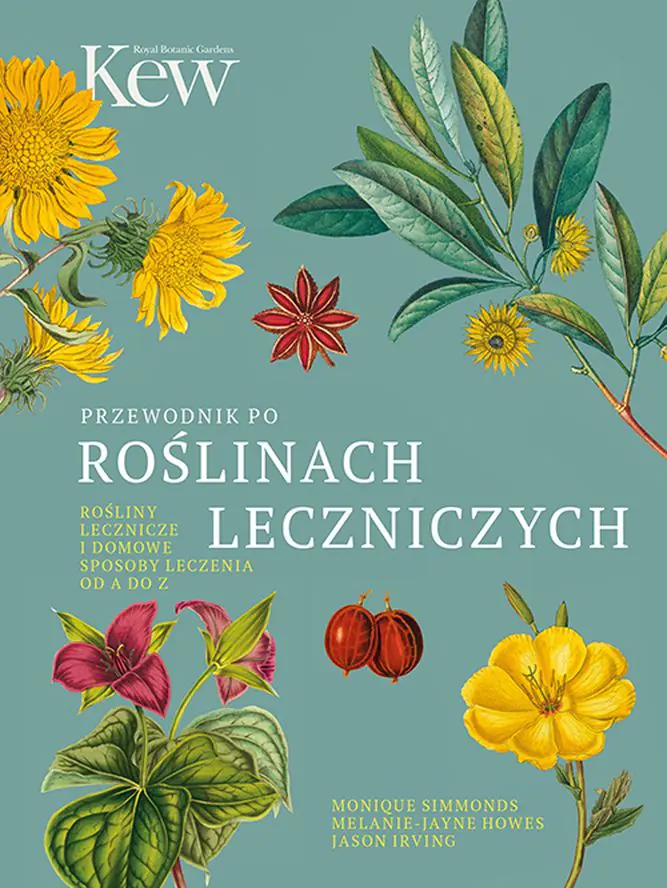 Książka - Przewodnik po roślinach leczniczych. Rośliny lecznicze i domowe sposoby leczenia od A do Z