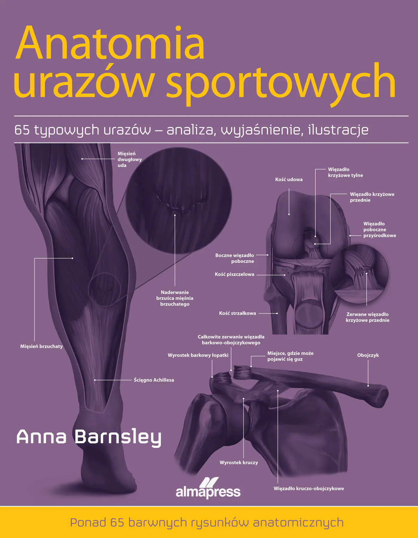 Książka - Anatomia urazów sportowych