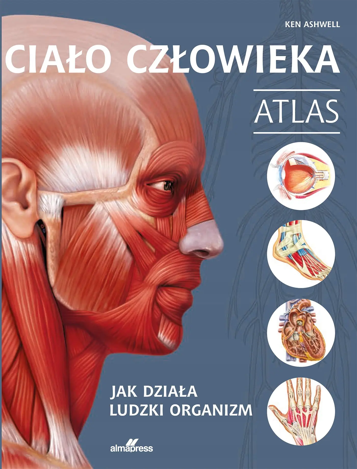 Książka - Ciało człowieka. Atlas. Jak działa ludzki organizm