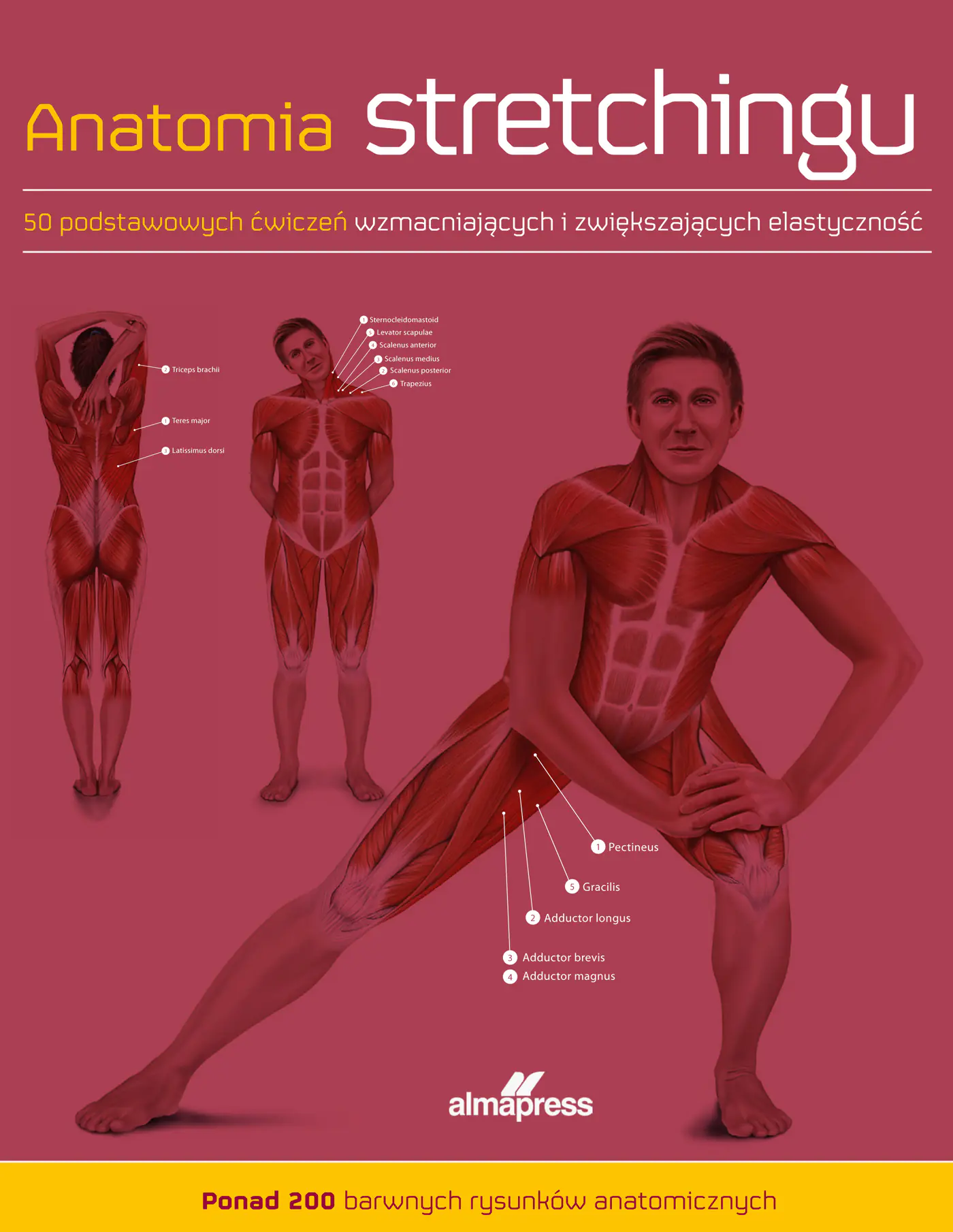 Książka - Anatomia stretchingu. 50 podstawowych ćwiczeń wzmacniających i zwiększających elastyczność