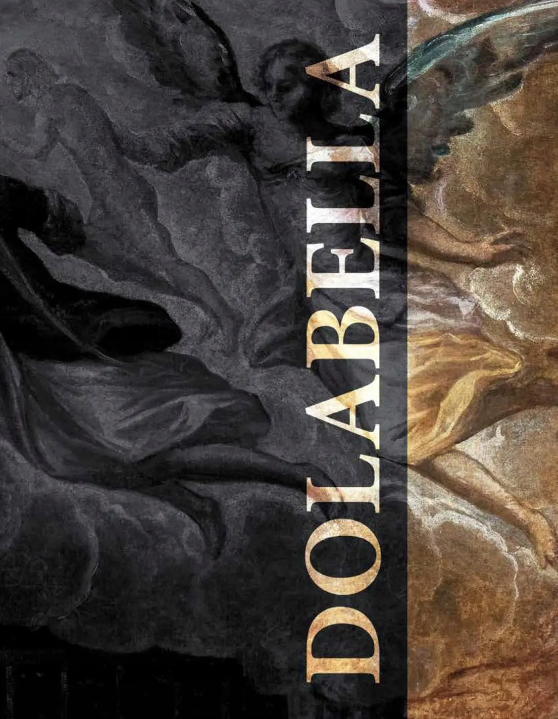 Książka - Dolabella. Wenecki malarz Wazów. Katalog wystawy