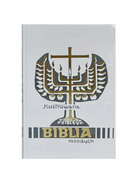 Książka - Ilustrowana Biblia młodych