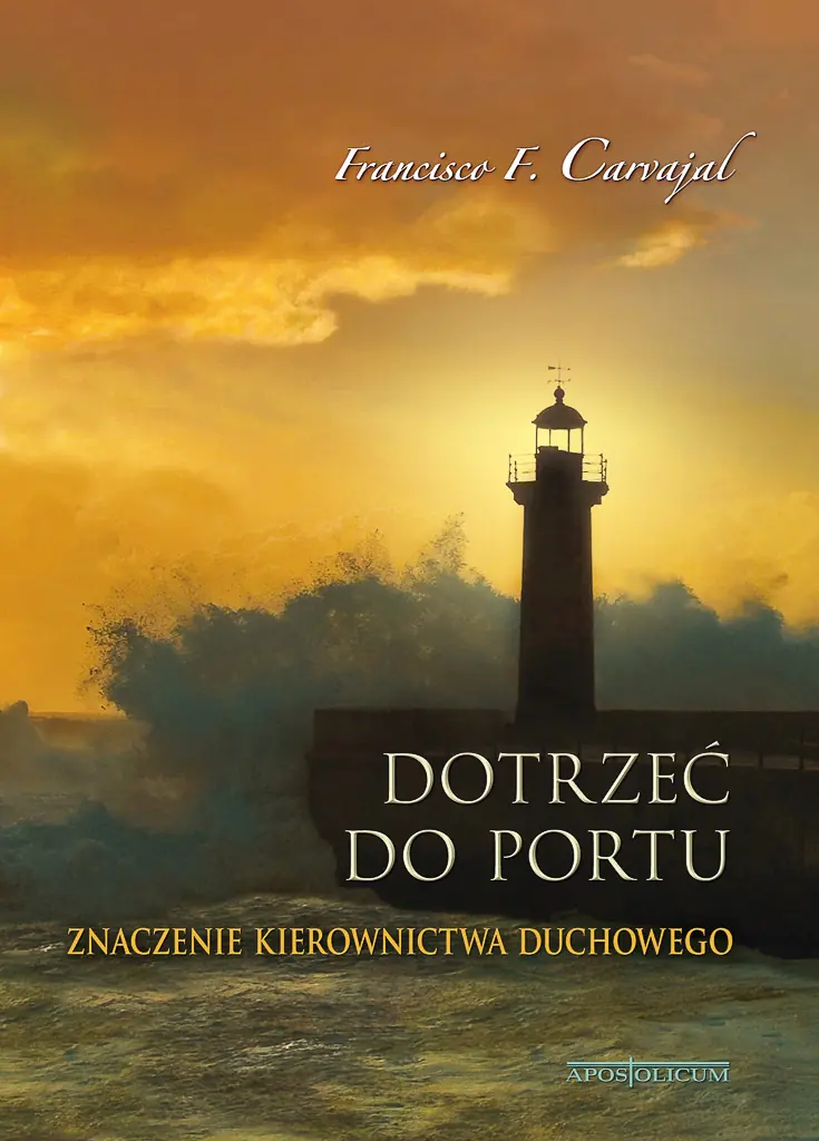 Książka - Dotrzeć do portu