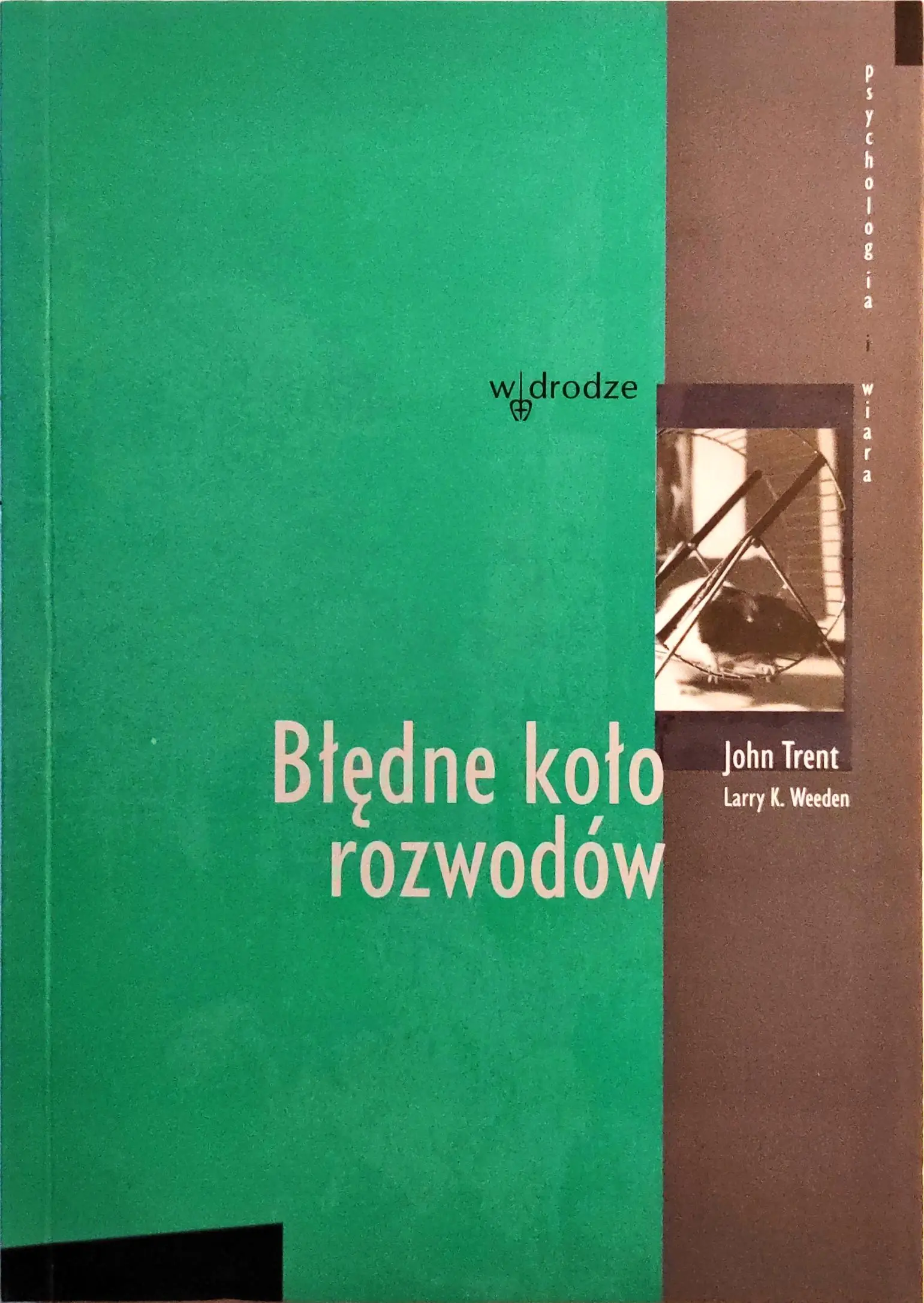 Książka - Błędne koło rozwodów