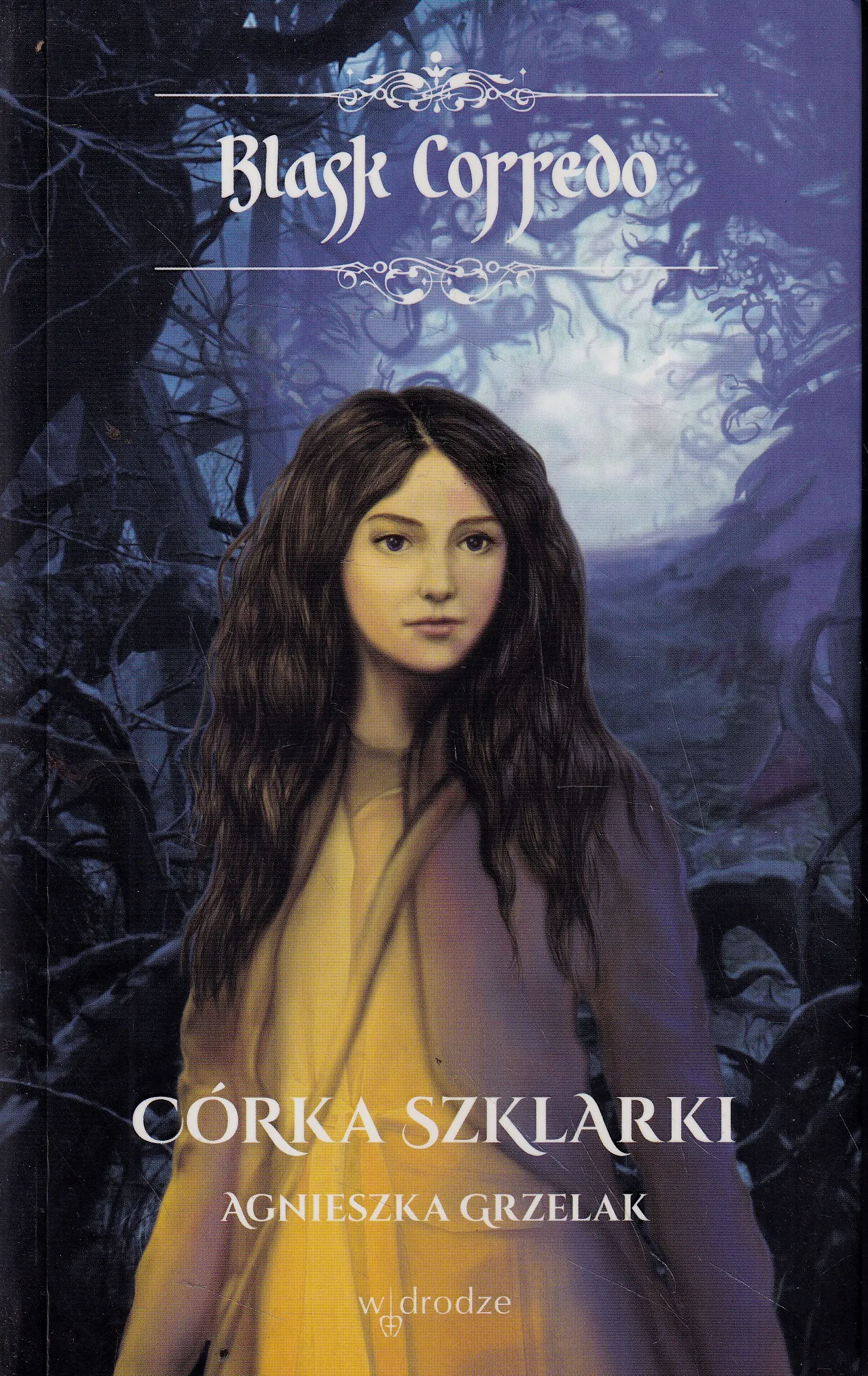 Książka - Córka Szklarki