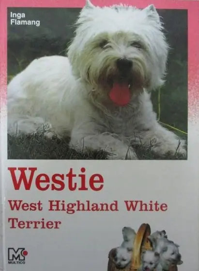 Westie