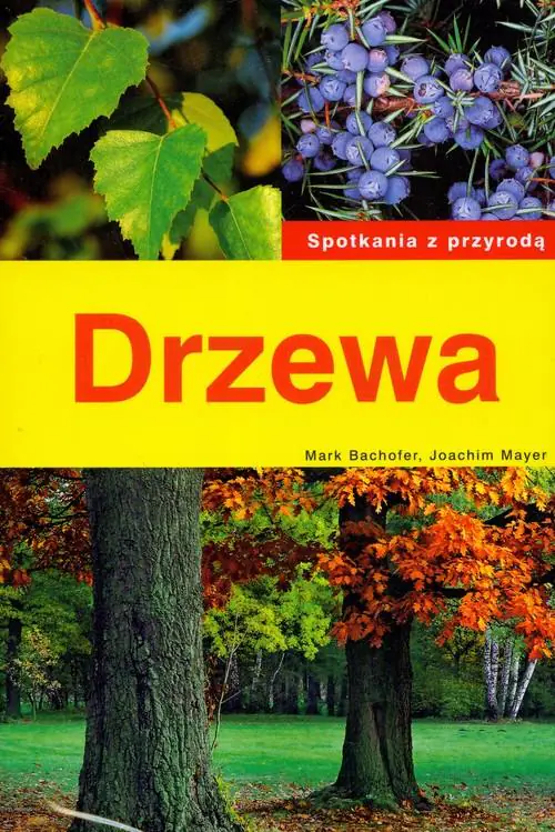 Książka - Drzewa. Spotkanie z przyrodą