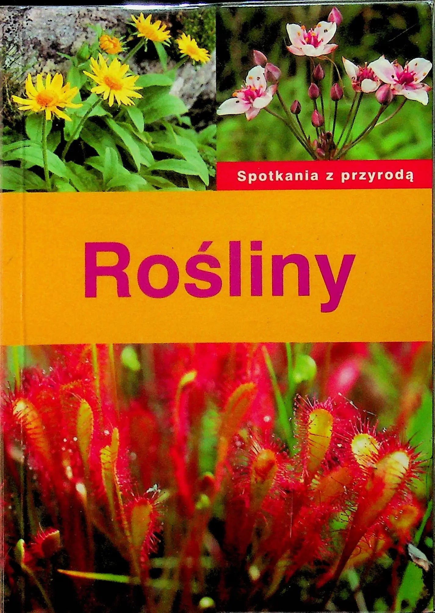 Książka - Spotkania z przyrodą Rośliny