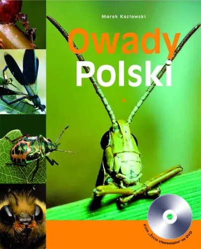 Książka - Owady Polski