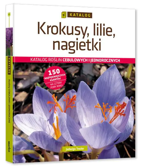 Książka - Krokusy lilie nagietki