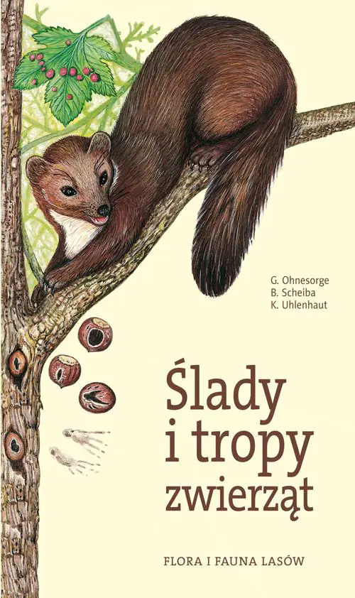 Książka - Flora i fauna lasów. Ślady i tropy zwierząt