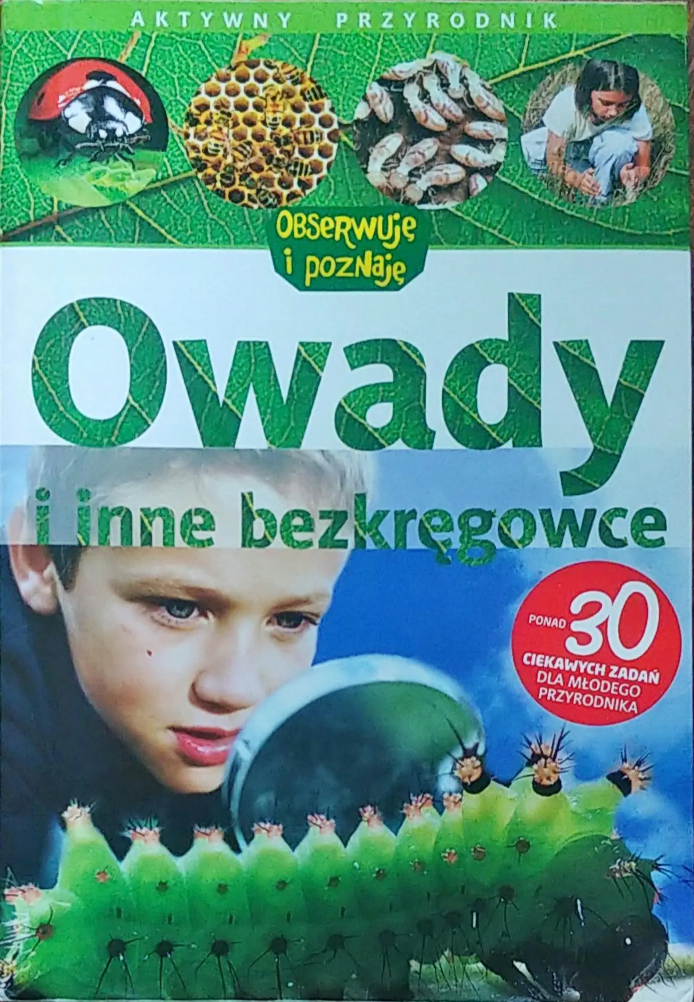 Książka - Owady i inne bezkręgowce - David Burnie - 