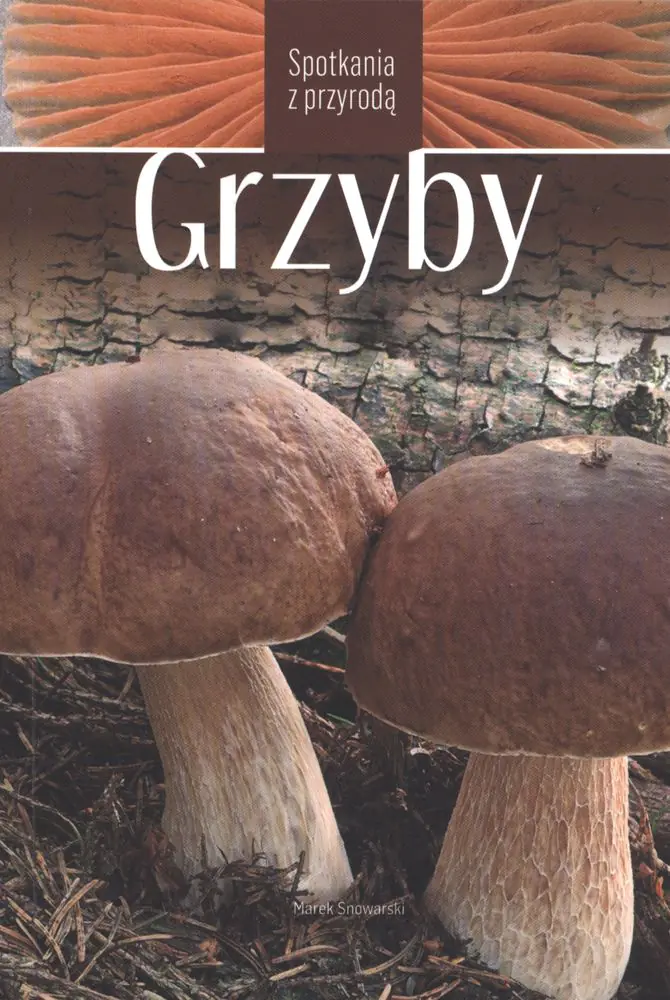 Książka - Grzyby